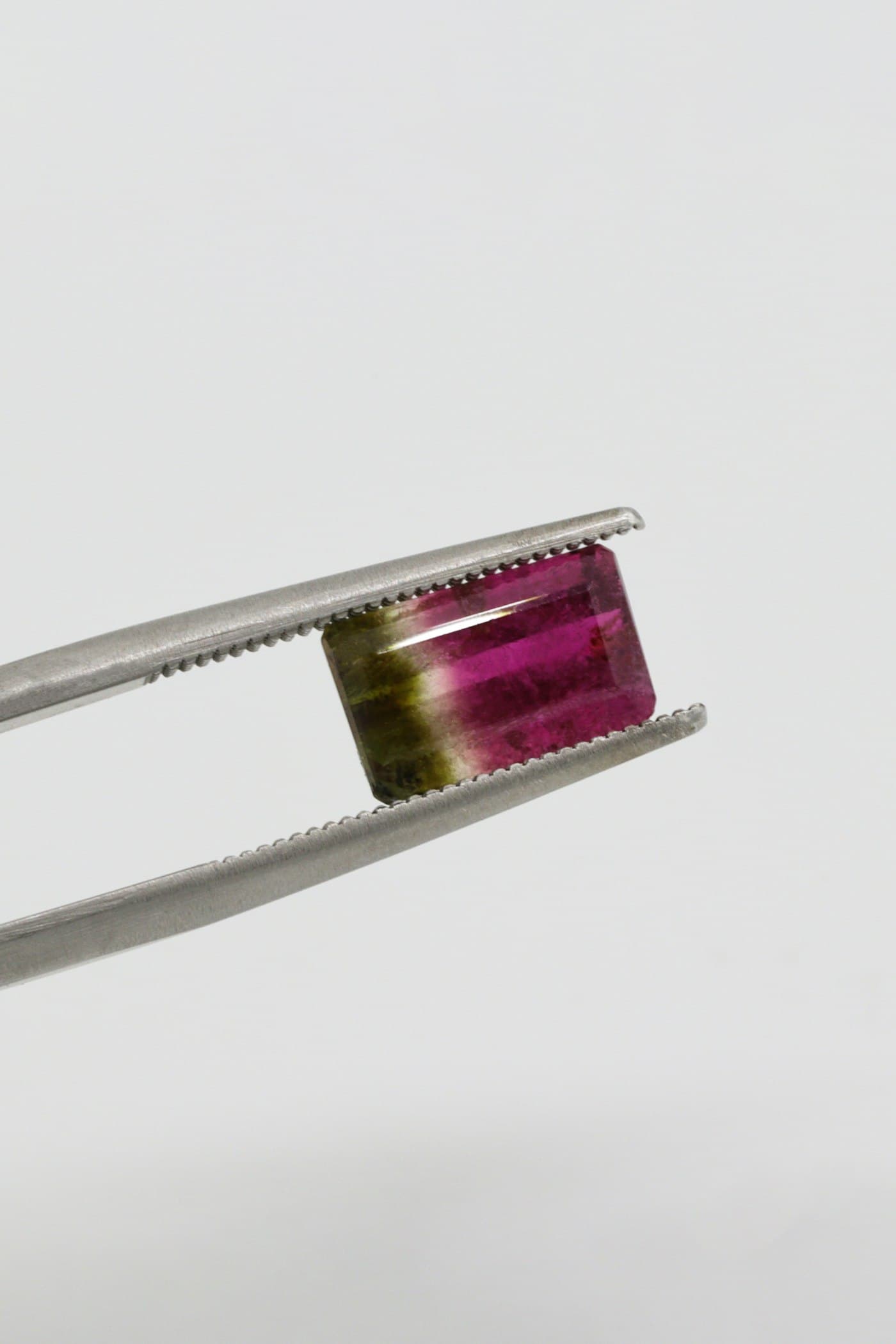 A bi-colour gemstone held in fine tweezers for close examination